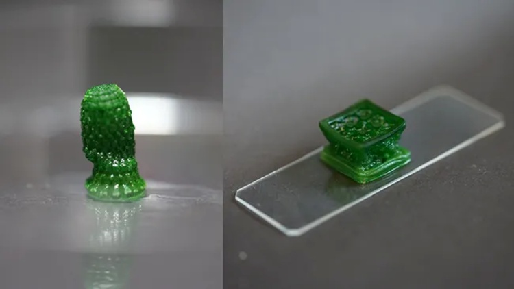 会呼吸的“活”外墙材料来了！能吃掉二氧化碳，还会自己变硬！