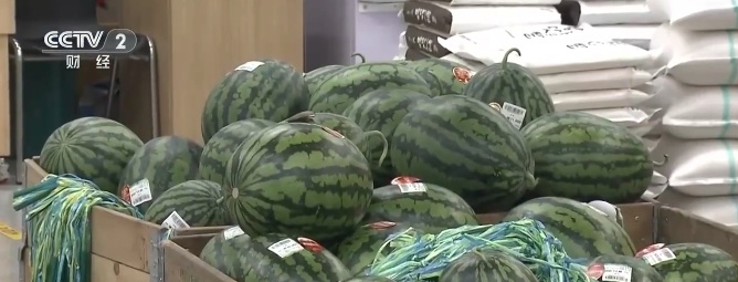 韩国一个西瓜涨到156元,一棵大白菜涨到22元 韩国一个西瓜涨到156元,一棵大白菜涨到22元