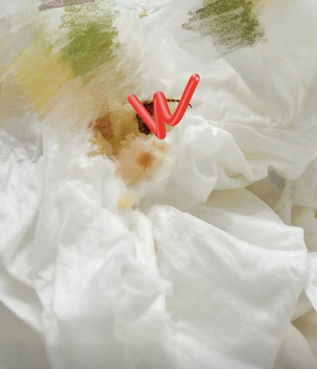 网友称在快餐中吃出半只蟑螂，“在喉咙里抠出另半只”，店方：已成立专项小组处理