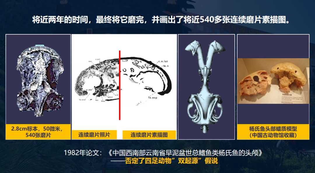 亿万年前的生命如何“重现”?中国科研团队用科技“复活”古生物! 亿万年前的生命如何“重现”?中国科研团队用科技“复活”古生物!