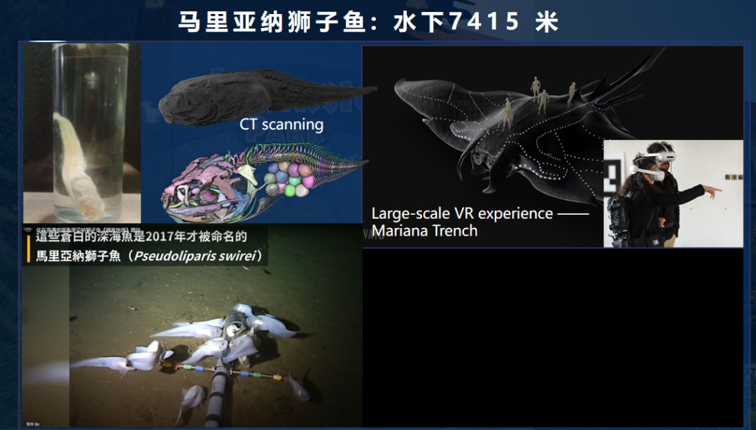 亿万年前的生命如何“重现”?中国科研团队用科技“复活”古生物! 亿万年前的生命如何“重现”?中国科研团队用科技“复活”古生物!