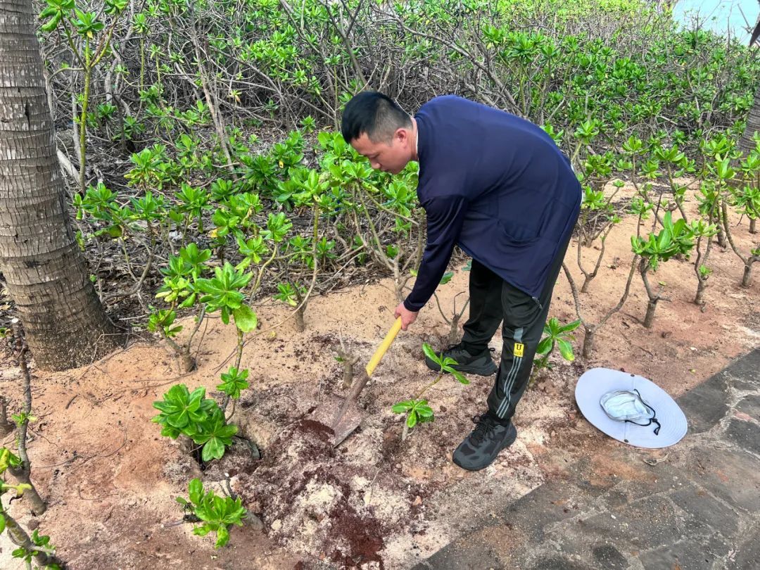 如果有一份工作，在碧波万顷的南海小岛上