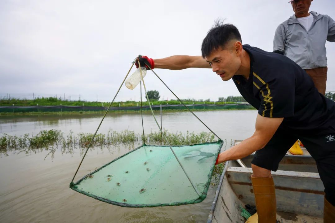 “忙时踢球，闲时养蟹”
