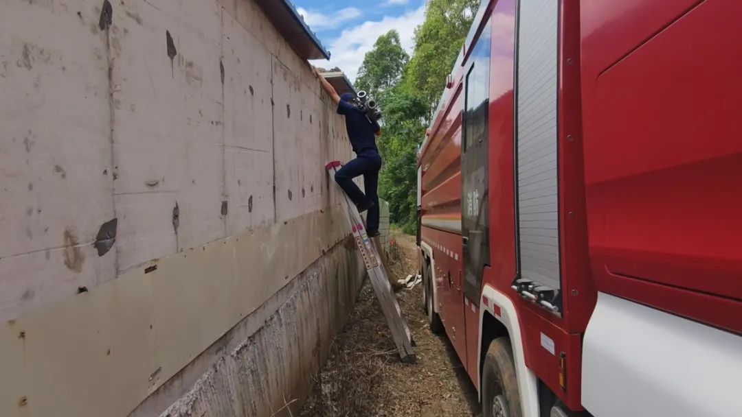 3700多头“二师兄”:好渴,等水喝,很急! 3700多头“二师兄”:好渴,等水喝,很急!