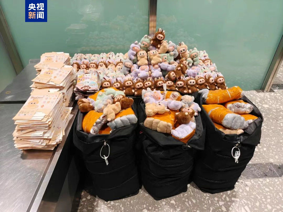 一“布”难求，海关大战假布布！@Labubu玩家，海关总署教你关键一招鉴定真伪→