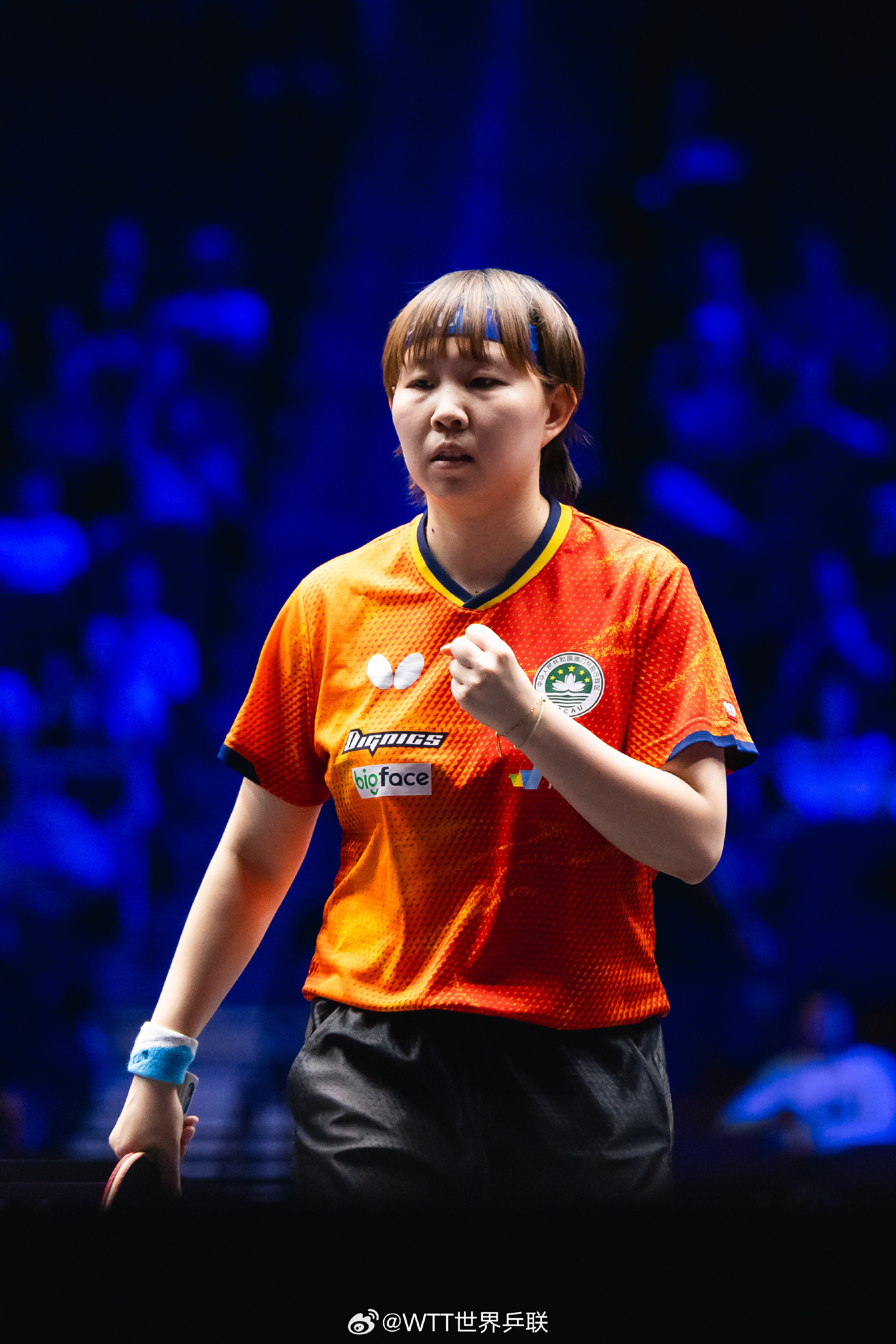 WTT美国大满贯收官日：王楚钦张本智和男单争冠 陈熠对决朱雨玲