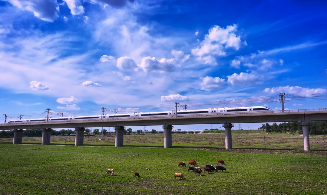 为何高铁F座如此受欢迎？