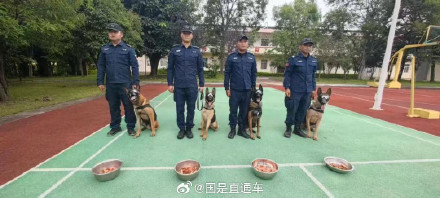 汪汪队又立大功啦！