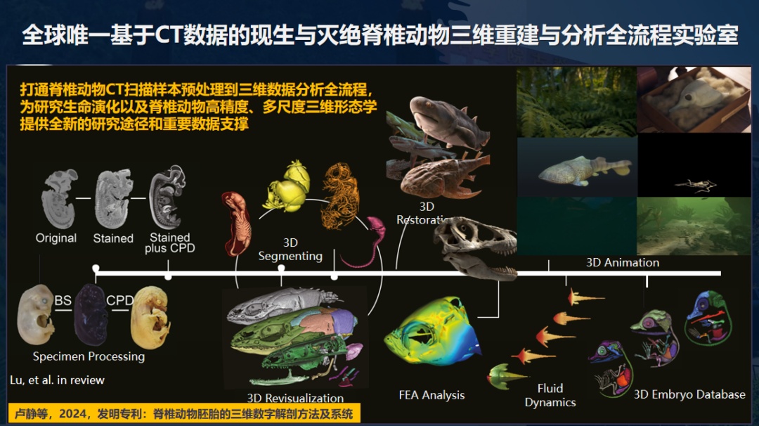 亿万年前的生命如何“重现”?中国科研团队用科技“复活”古生物! 亿万年前的生命如何“重现”?中国科研团队用科技“复活”古生物!