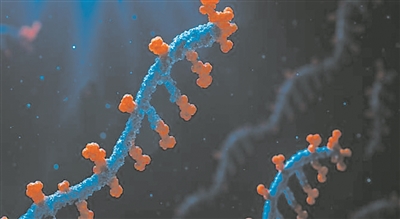 “生物人工智能”系统创建