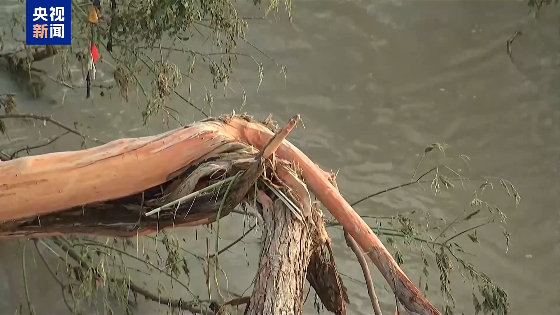 美国得州洪灾仍有超170人失联,新一轮暴雨又来了 美国得州洪灾仍有超170人失联,新一轮暴雨又来了