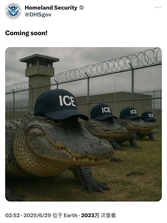 “32人关一笼！”