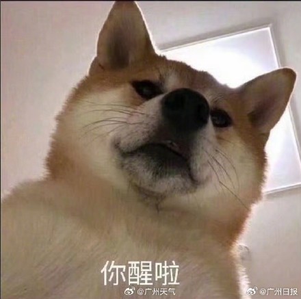 广州高温本周返场 广州高温本周返场