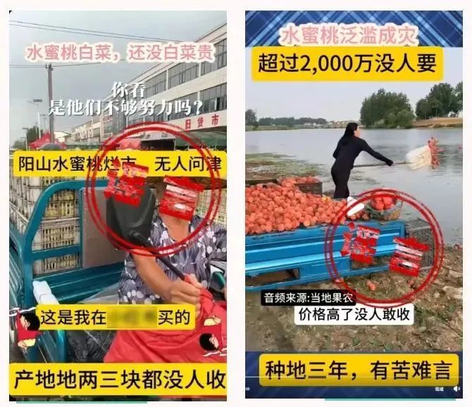 造谣“阳山水蜜桃”，嫌疑人被抓获！警惕这些农产品谣言……