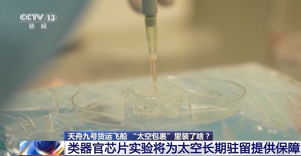 1.5吨、190多种“太空餐”已送达 麻婆豆腐、素三鲜都安排上了