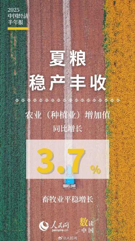 10组数据速览2025中国经济半年报
