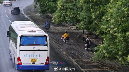 出门带伞!北京今日降雨送清凉 最高气温降至30℃ 出门带伞!北京今日降雨送清凉 最高气温降至30℃