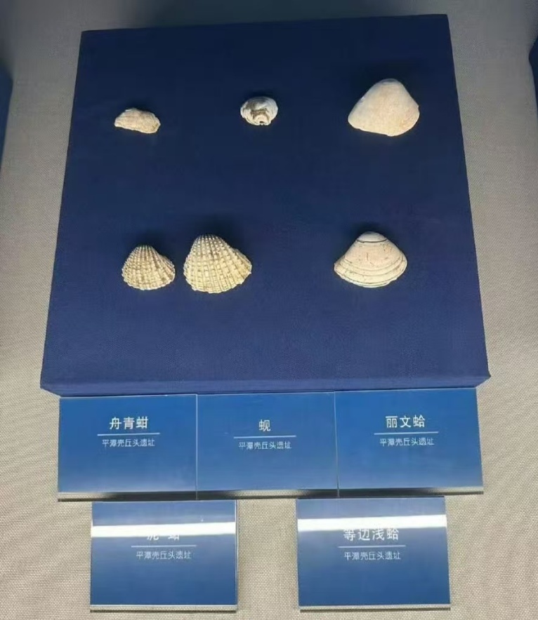 上热搜了,但我们坚决不同意! 上热搜了,但我们坚决不同意!