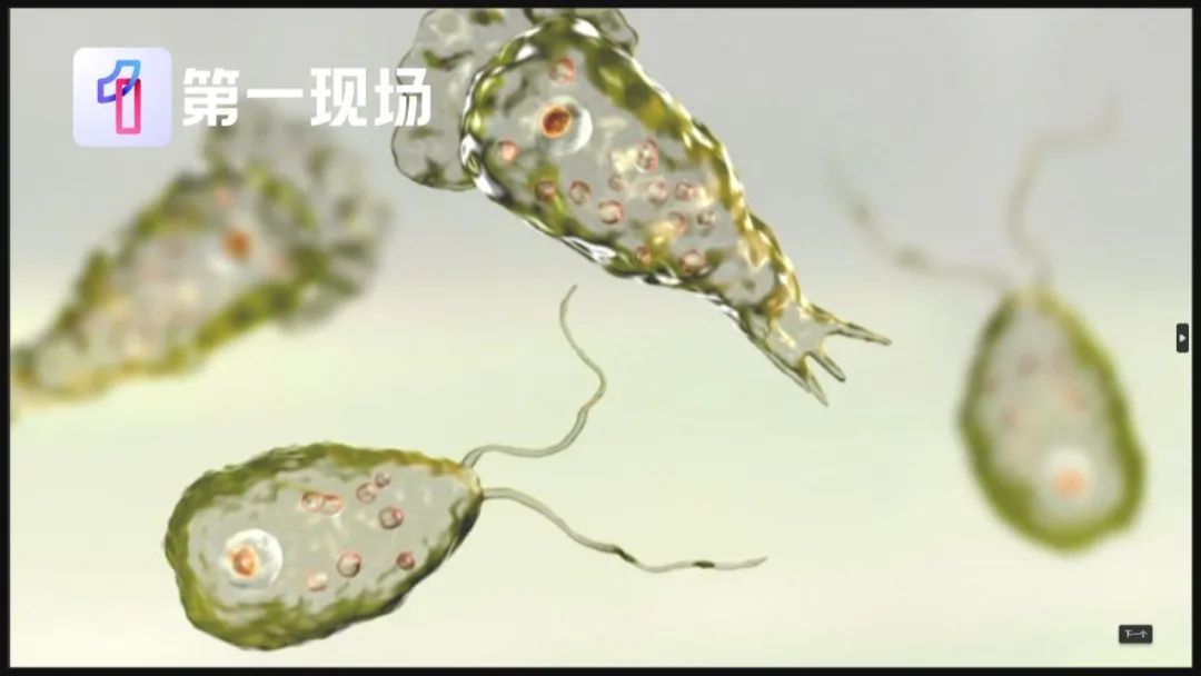 病死率高达97%！家长：还能带孩子去游泳吗？