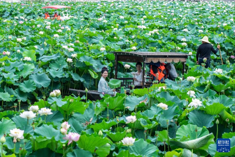 高温催生暑期清凉经济 高温催生暑期清凉经济