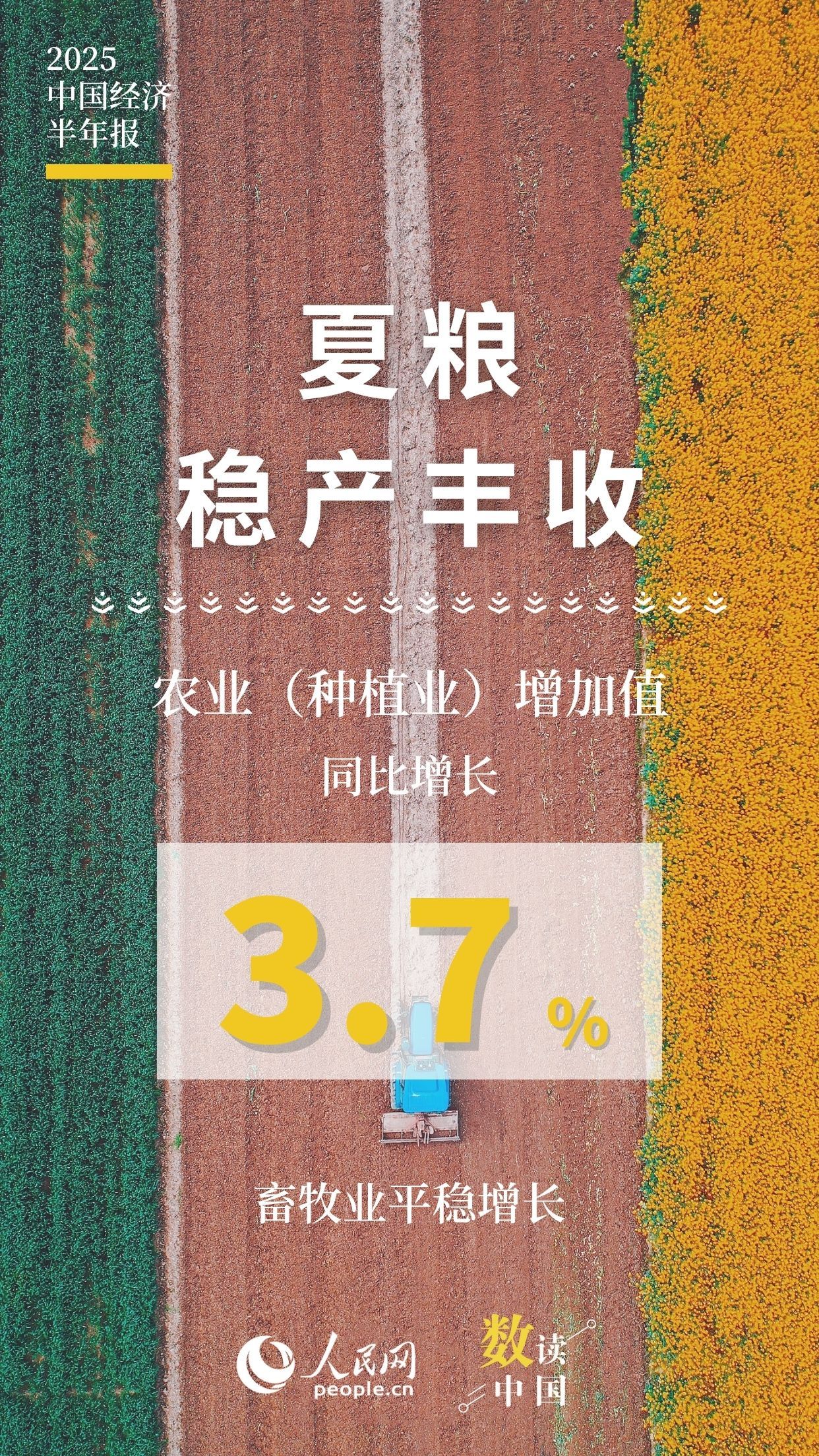 10组数据速览2025中国经济半年报 10组数据速览2025中国经济半年报