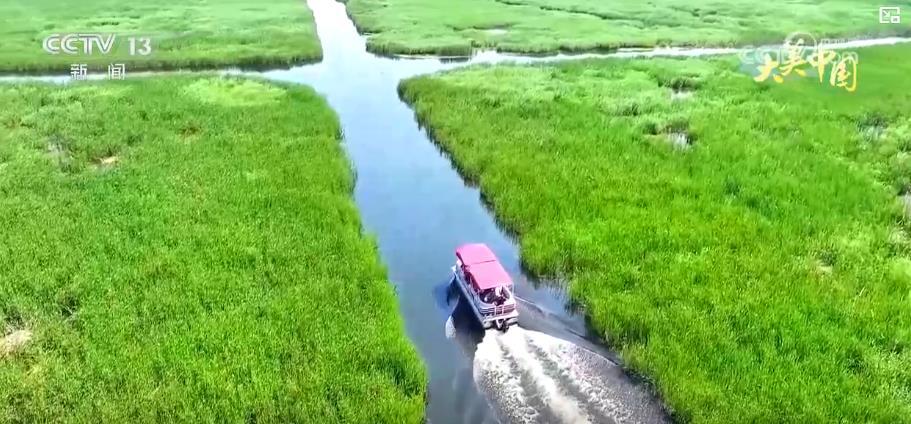 天山牧场、油菜花海、湿地漂流……大美中国夏日风光美如画 农文旅融合绘新景 天山牧场、油菜花海、湿地漂流……大美中国夏日风光美如画 农文旅融合绘新景