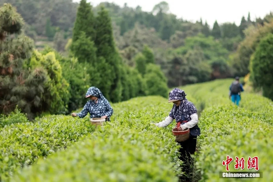 这个让脑子变傻的事情，你可能每天都在干！