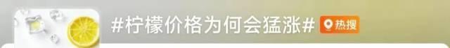 柠檬价格接连上涨，低价柠檬饮品会涨价吗？