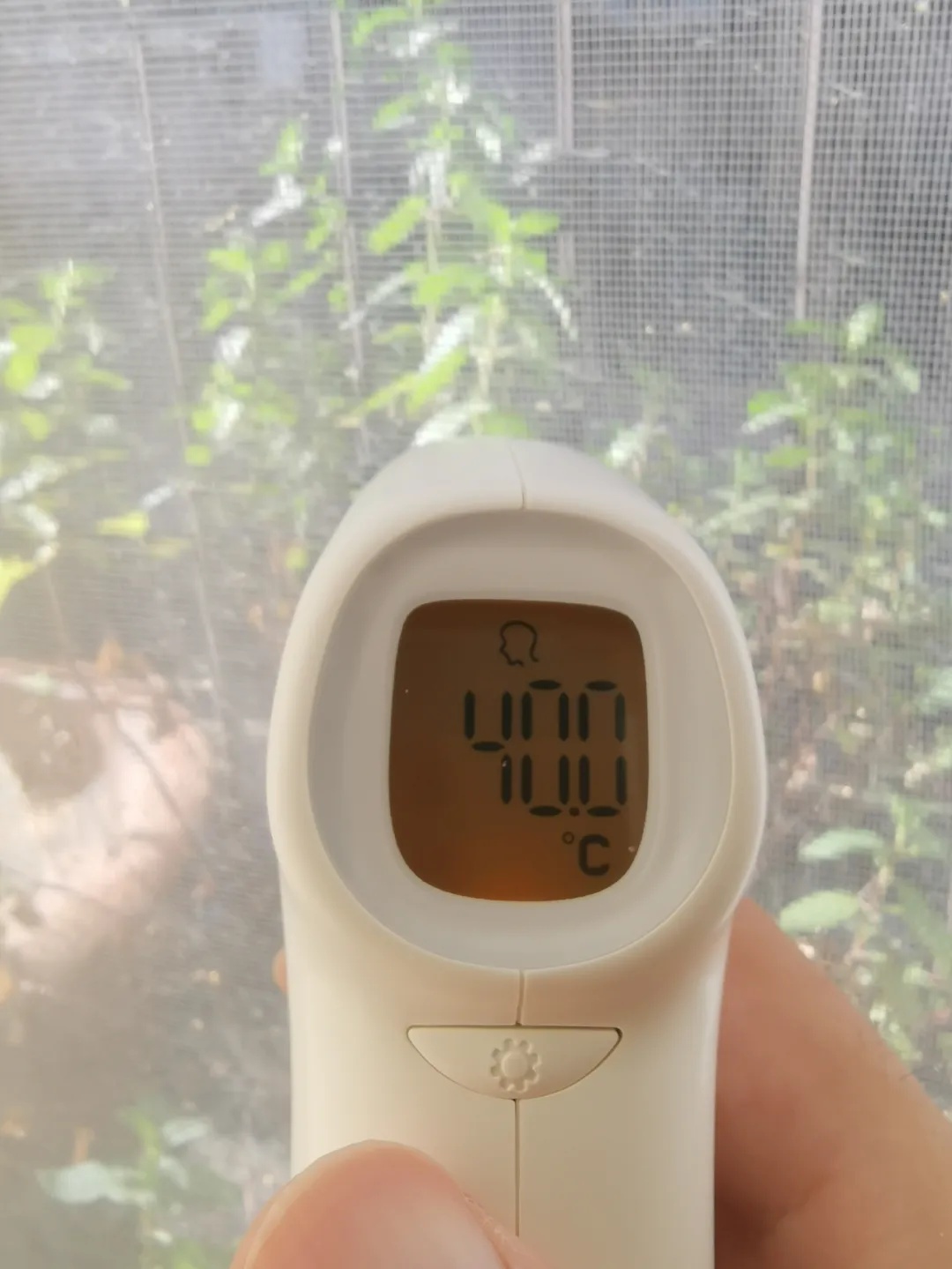 近期高发，死亡率高达70%！出现这些症状马上就医