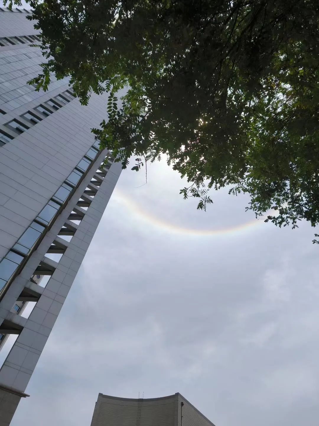 抬头看→西安上空现“天空之瞳”!你的朋友圈刷屏了吗? 抬头看→西安上空现“天空之瞳”!你的朋友圈刷屏了吗?