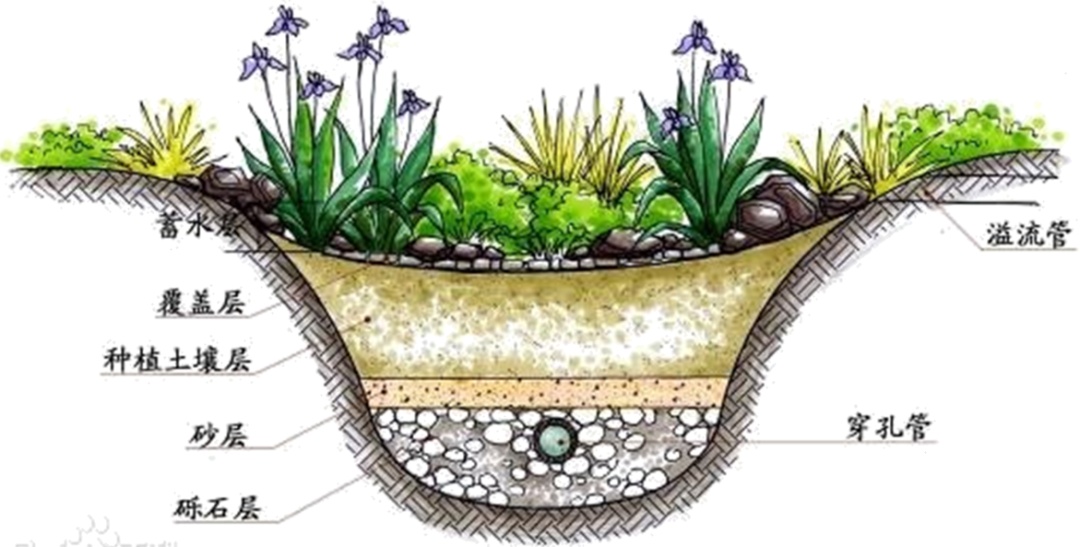 展项拾趣 | 用过的水是怎么再次回到我们身边的? 展项拾趣 | 用过的水是怎么再次回到我们身边的?