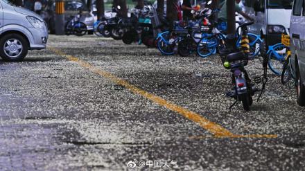 出门带伞!北京今日降雨送清凉 最高气温降至30℃ 出门带伞!北京今日降雨送清凉 最高气温降至30℃