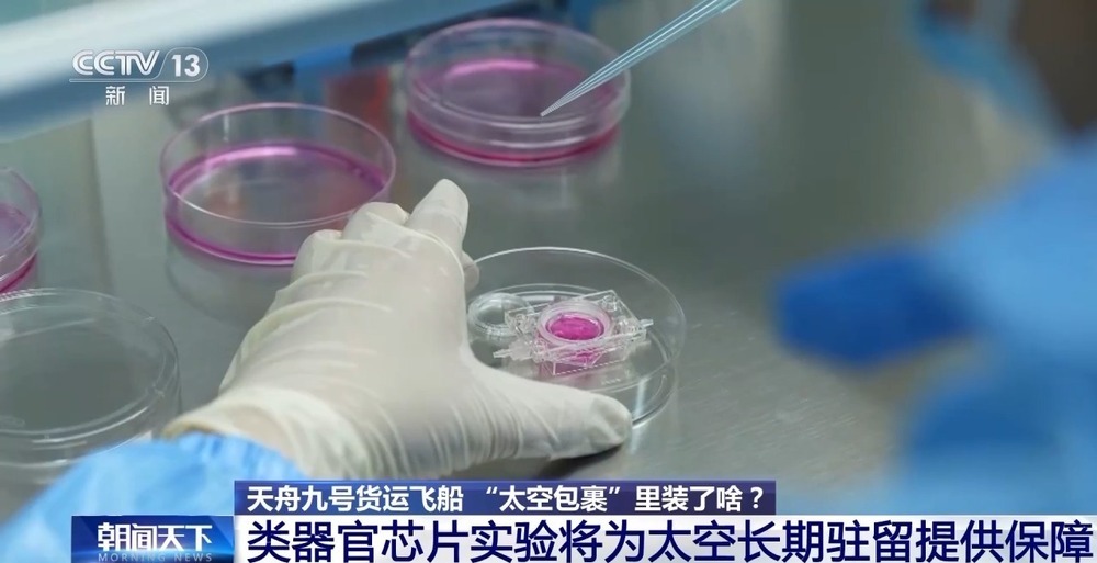 1.5吨、190多种“太空餐”已送达 麻婆豆腐、素三鲜都安排上了
