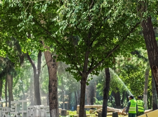 多地最高气温25℃，本周辽宁最凉快的一天要来了！而且还有雨……