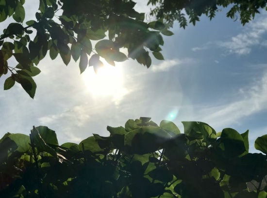 多地最高气温25℃，本周辽宁最凉快的一天要来了！而且还有雨……