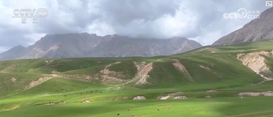 天山牧场、油菜花海、湿地漂流……大美中国夏日风光美如画 农文旅融合绘新景 天山牧场、油菜花海、湿地漂流……大美中国夏日风光美如画 农文旅融合绘新景