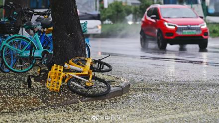 出门带伞!北京今日降雨送清凉 最高气温降至30℃ 出门带伞!北京今日降雨送清凉 最高气温降至30℃