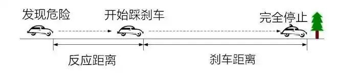 致2人死亡，判了！警惕开车时这类行为