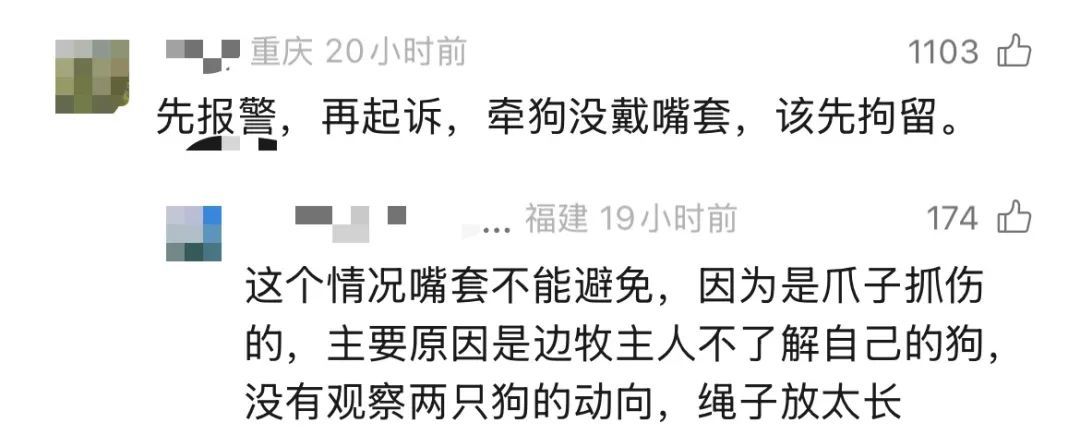 广东一女子在电梯内被邻居的狗抓伤，对方：去告我吧