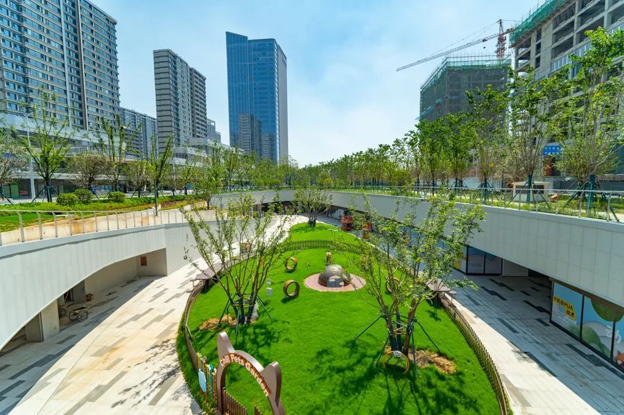 通车啦！这条路直达红山森林动物园