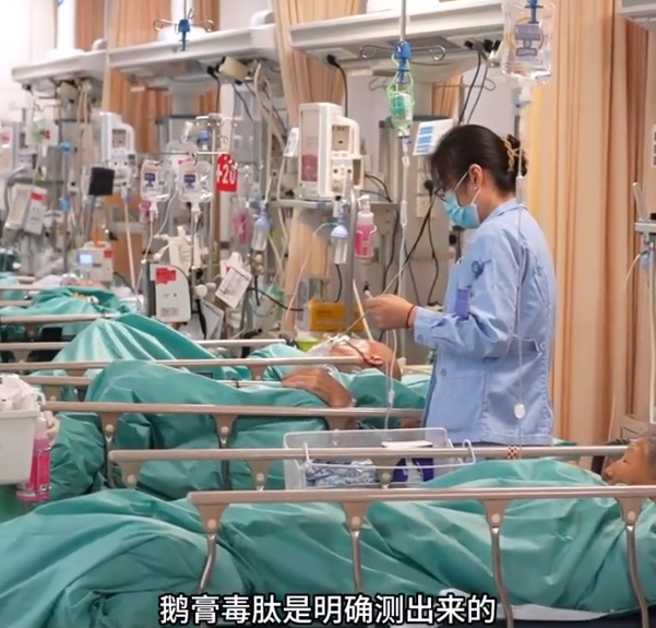 云南女子自信能辨毒，在公园采蘑菇吃后差点丧命！