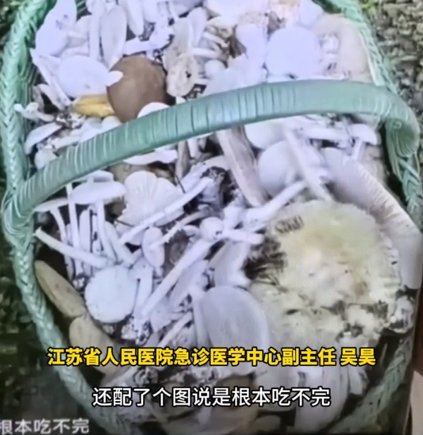 云南女子自信能辨毒，在公园采蘑菇吃后差点丧命！