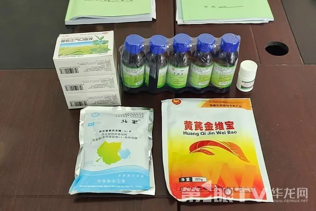 让人羡慕!重庆萌兽们的度夏方式好凉爽 让人羡慕!重庆萌兽们的度夏方式好凉爽