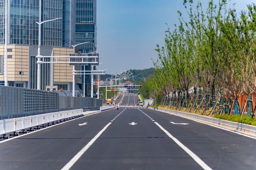 通车啦！这条路直达红山森林动物园