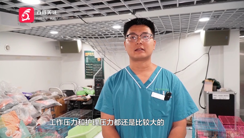 400多只小猫在贵阳获救，状态良好均已安置，网友：贵阳这波上大分