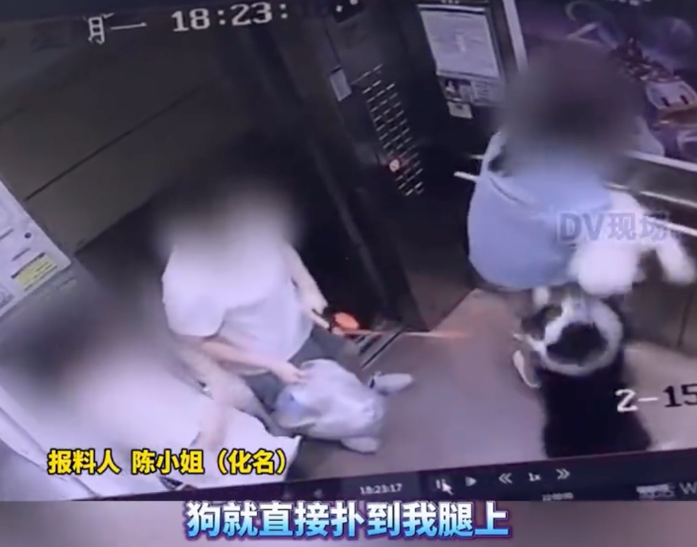 广东一女子在电梯内被邻居的狗抓伤，对方：去告我吧