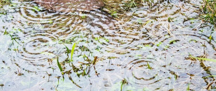 为什么降雨后蚊子会增多？3招速防叮咬