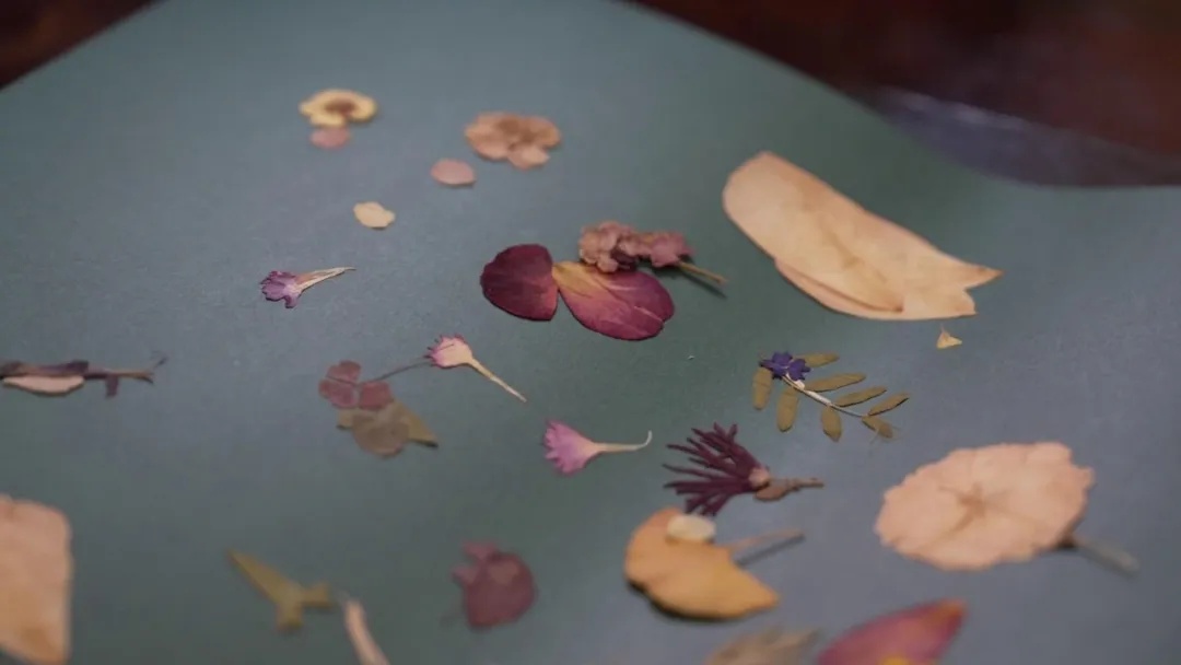 考全国第一的姑娘,刷屏全网! 考全国第一的姑娘,刷屏全网!