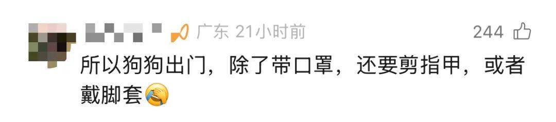 广东一女子在电梯内被邻居的狗抓伤，对方：去告我吧