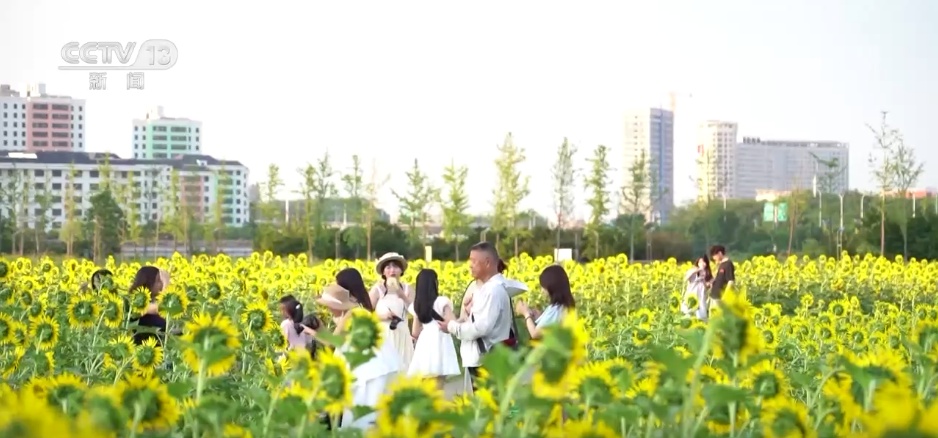 “新提法”蕴藏新发展 专家解读中央城市工作会议五个“转变”、五个“更加”